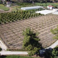 Land plot in Turkey, Land, 7000 sq.m.