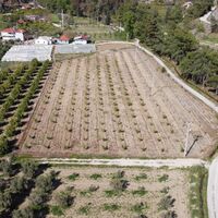 Land plot in Turkey, Land, 7000 sq.m.