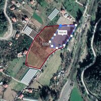 Land plot in Turkey, Land, 7000 sq.m.