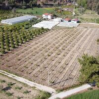 Land plot in Turkey, Land, 7000 sq.m.