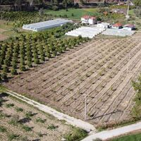 Land plot in Turkey, Land, 7000 sq.m.