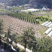 Land plot in Turkey, Land, 7000 sq.m.