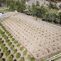 Land plot in Turkey, Land, 7000 sq.m.