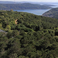 Земельный участок в Турции, Стамбул, 1300 кв.м.