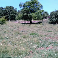 Land plot in Turkey, Istanbul, 1380 sq.m.