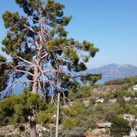 Land plot in Turkey, Land