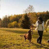 Villa in Turkey, Istanbul, 462 sq.m.