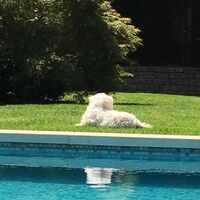 Villa in Turkey, Istanbul, 450 sq.m.