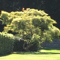 Villa in Turkey, Istanbul, 450 sq.m.