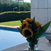 Villa in Turkey, Istanbul, 450 sq.m.