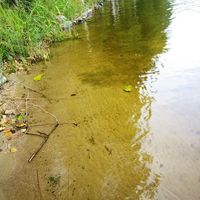 House in Finland, 97 sq.m.