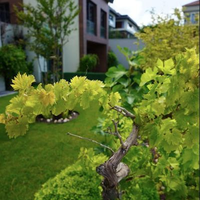 Villa in Turkey, Istanbul, 350 sq.m.