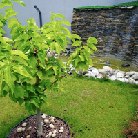 Villa in Turkey, Istanbul, 350 sq.m.