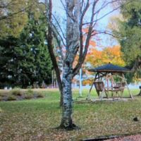 Flat in Finland, Kouvola, 84 sq.m.