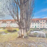 Flat in Germany, Saxony, Dresden, 61 sq.m.