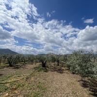 Villa in Greece, Peloponnese, Tripoli, 240 sq.m.