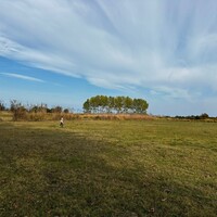 Остров в Греции, Ierissos, 10000 кв.м.