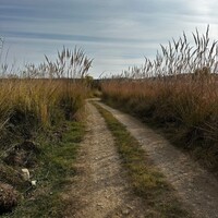 Остров в Греции, Ierissos, 10000 кв.м.