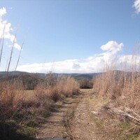 Остров в Греции, Ierissos, 10000 кв.м.