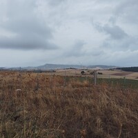 Остров в Греции, 5000 кв.м.