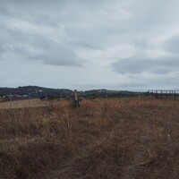 Остров в Греции, 5000 кв.м.