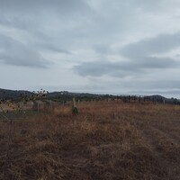 Остров в Греции, 5000 кв.м.