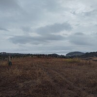 Остров в Греции, 5000 кв.м.