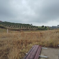 Остров в Греции, 5000 кв.м.