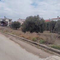 Остров в Греции, Полийирос, 1305 кв.м.