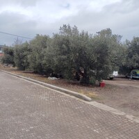 Остров в Греции, Полийирос, 1305 кв.м.