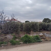 Остров в Греции, Полийирос, 1305 кв.м.