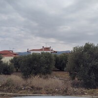 Остров в Греции, Полийирос, 1305 кв.м.