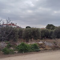 Остров в Греции, Полийирос, 1305 кв.м.