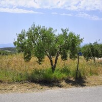 Island in Greece, 302 sq.m.