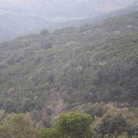 Остров в Греции, 4785000 кв.м.