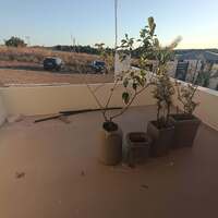 Flat in Greece, Kassandreia, 50 sq.m.