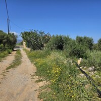 Остров в Греции, Крит, 4460 кв.м.