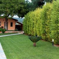 Flat in Greece, Eretria, 130 sq.m.