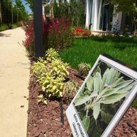 Апартаменты в Турции, Стамбул