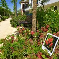 Апартаменты в Турции, Стамбул