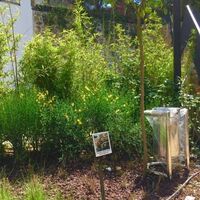 Апартаменты в Турции, Стамбул