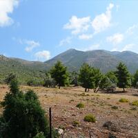 Island in Greece, 8000 sq.m.