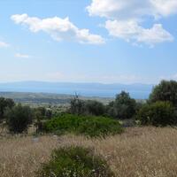 Island in Greece, Eretria, 45000 sq.m.