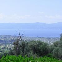 Island in Greece, Eretria, 45000 sq.m.