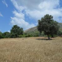 Island in Greece, Eretria, 45000 sq.m.