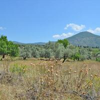 Island in Greece, Eretria, 390 sq.m.