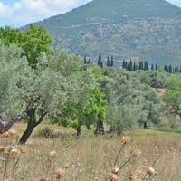 Island in Greece, Eretria, 390 sq.m.
