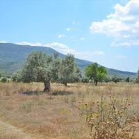 Island in Greece, Eretria, 390 sq.m.