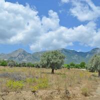 Island in Greece, Eretria, 390 sq.m.