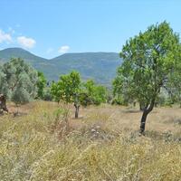 Island in Greece, Eretria, 390 sq.m.